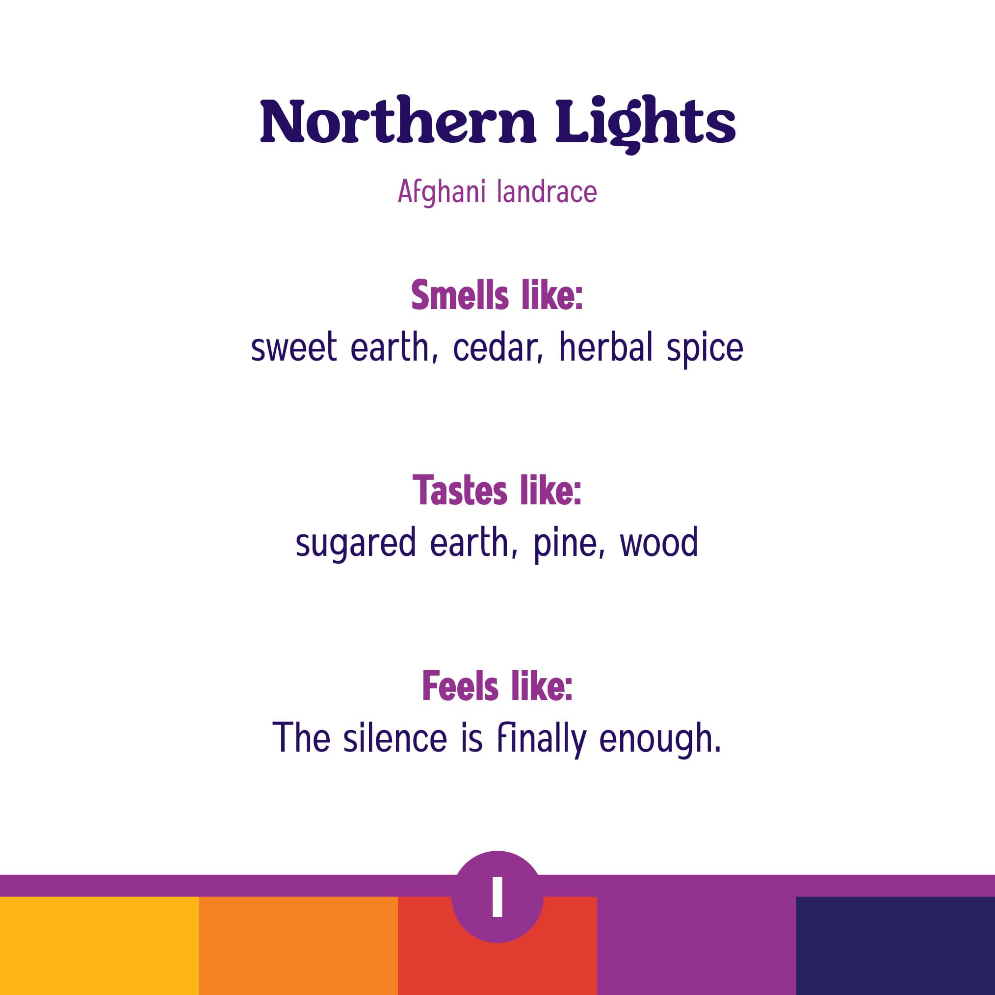 Roll One Northern Lights Infused Ground