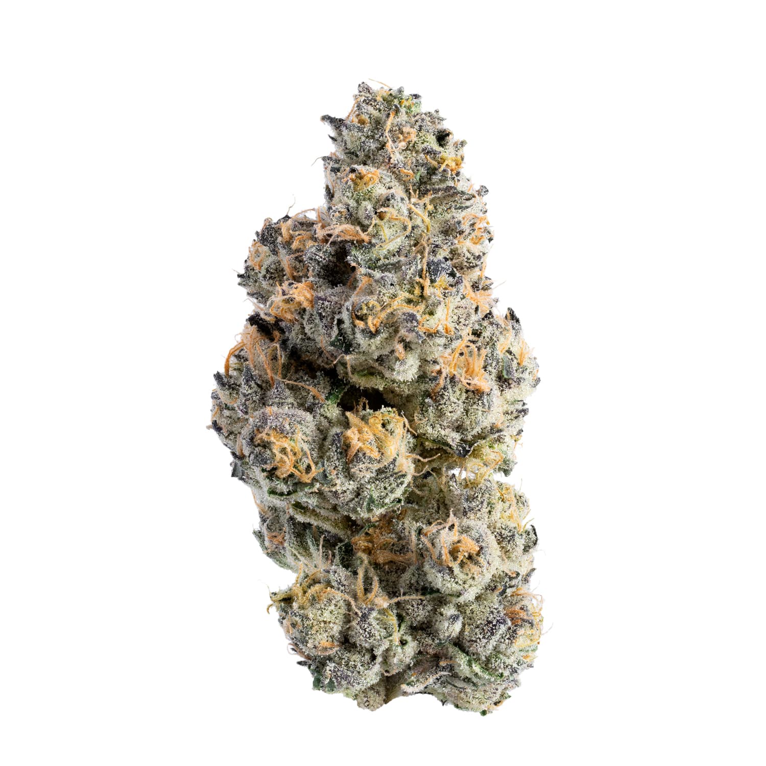 Wizard Trees Black Light Flower