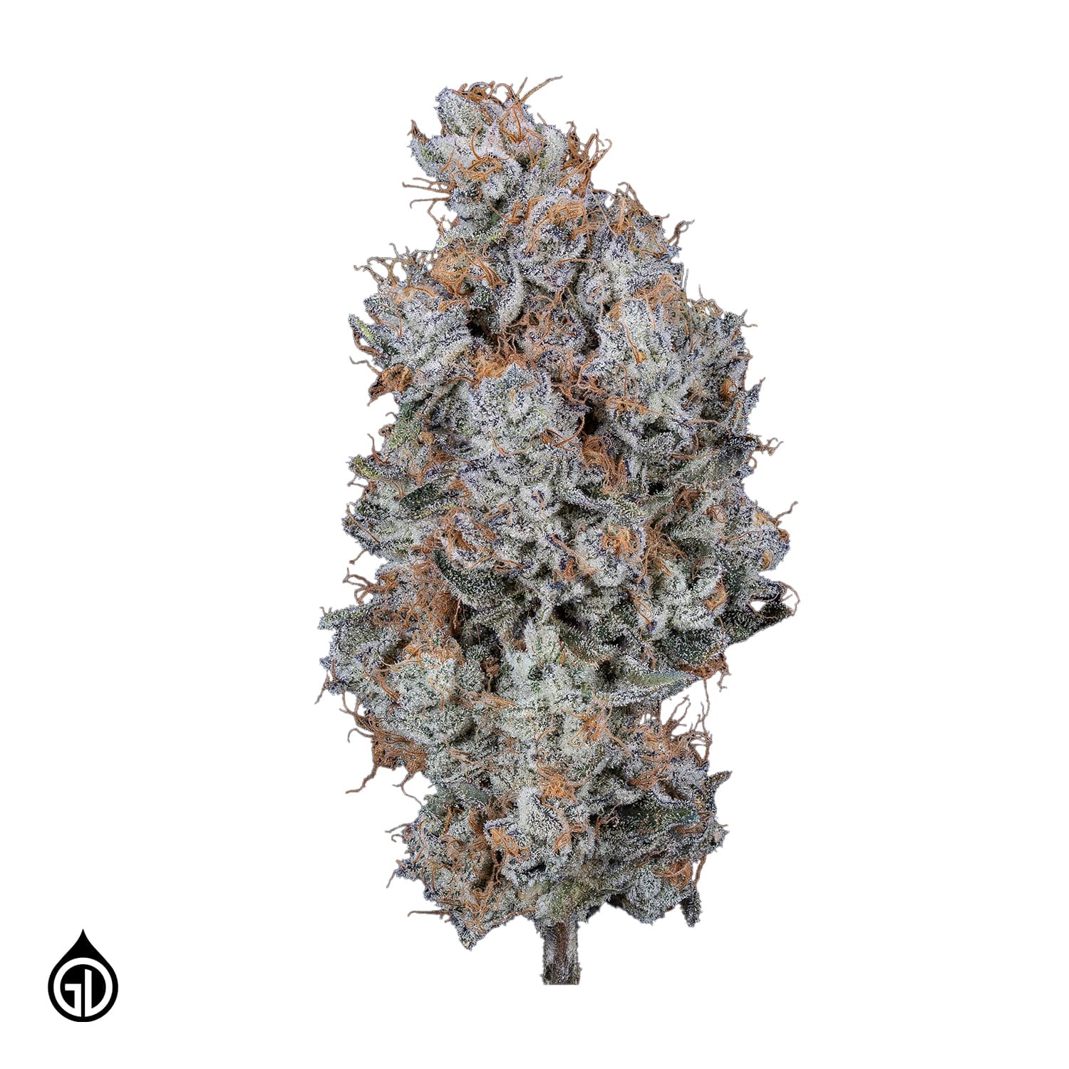 Green Dot Labs Belgium Blu Flower