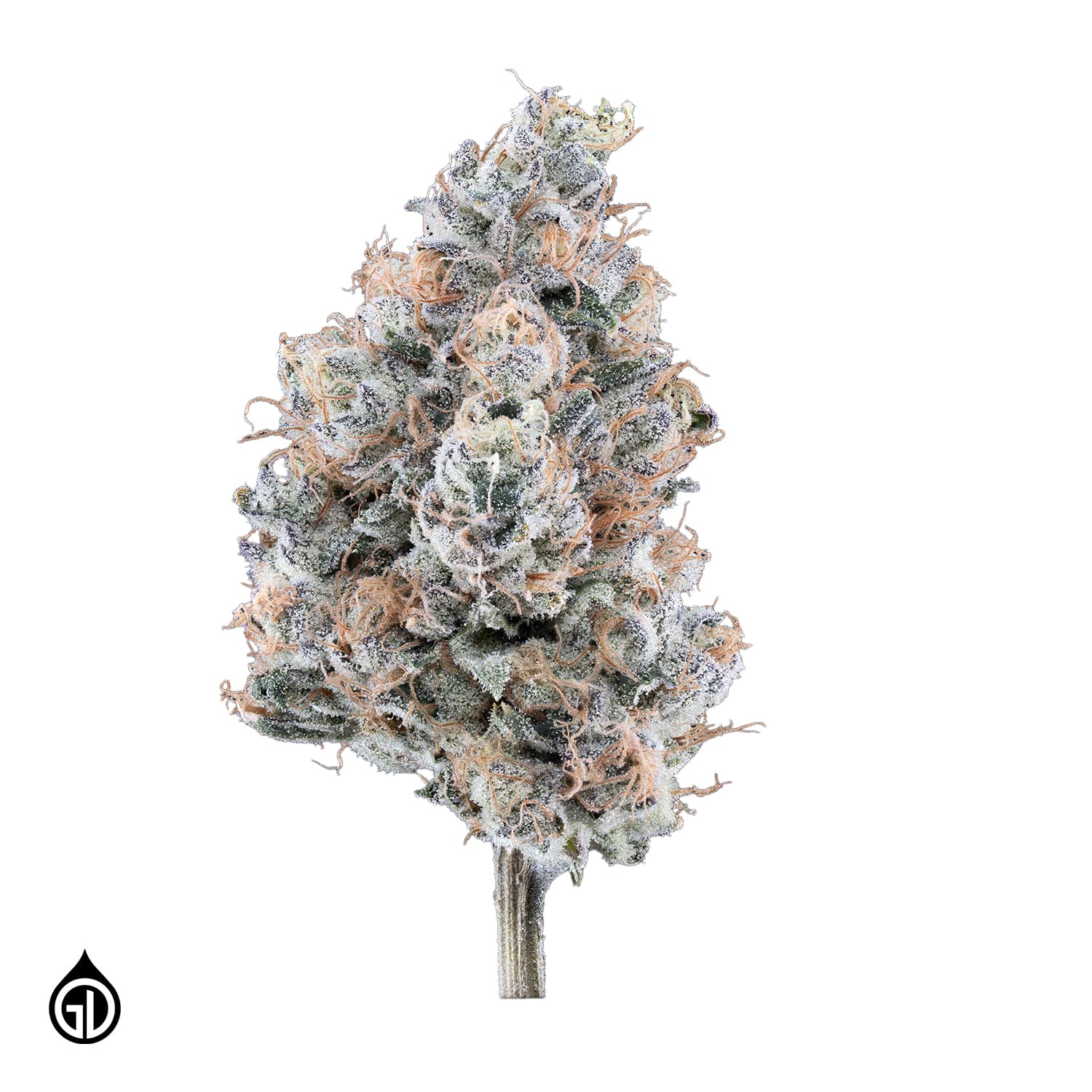 Otoro Flower