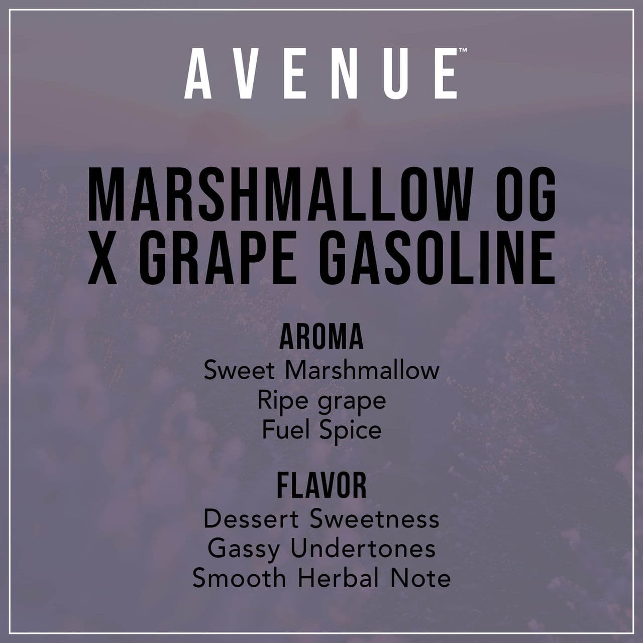 Avenue Marshmallow OG x Grape Gasoline Flower