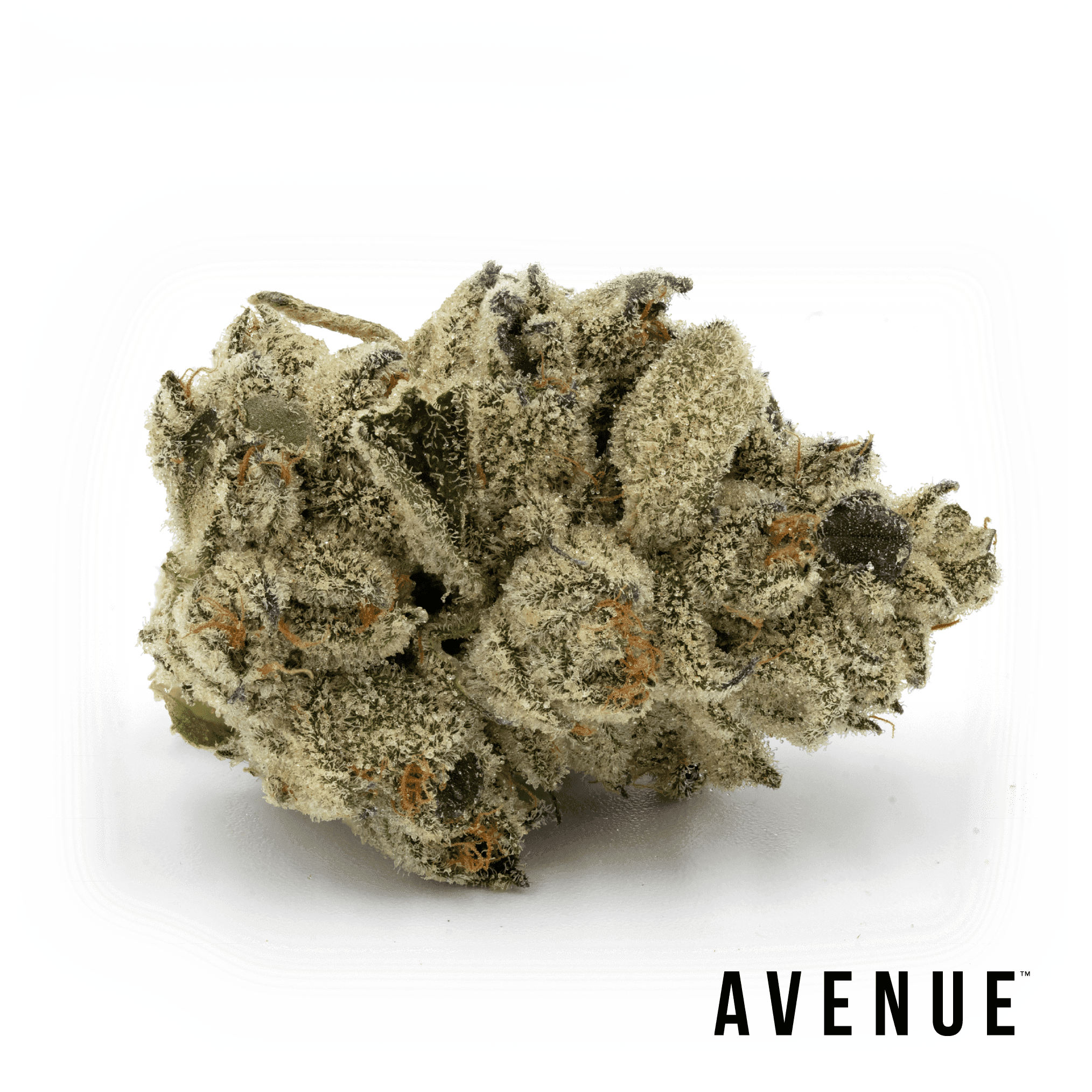 Avenue Pink Certz #4 Flower