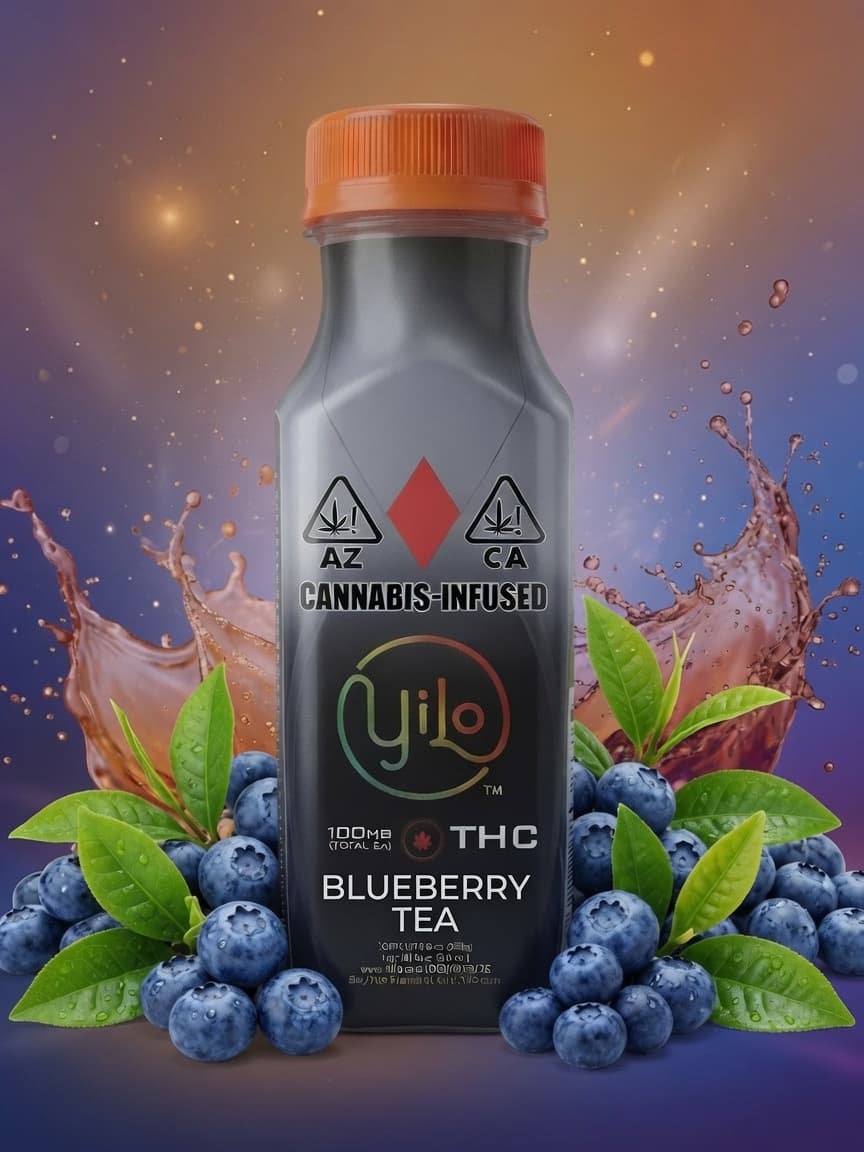 YiLo Blueberry Tea | 100mg