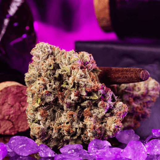 Wizard Trees Wizard Fuel Smalls