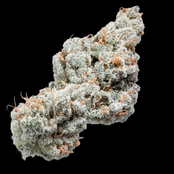 VORTEX 1st Class Gas Premium Flower