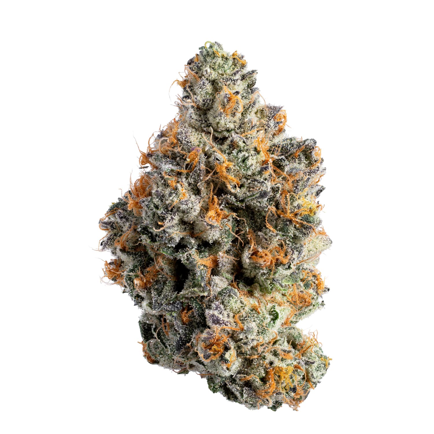 Wizard Trees Gas Gimlet Flower