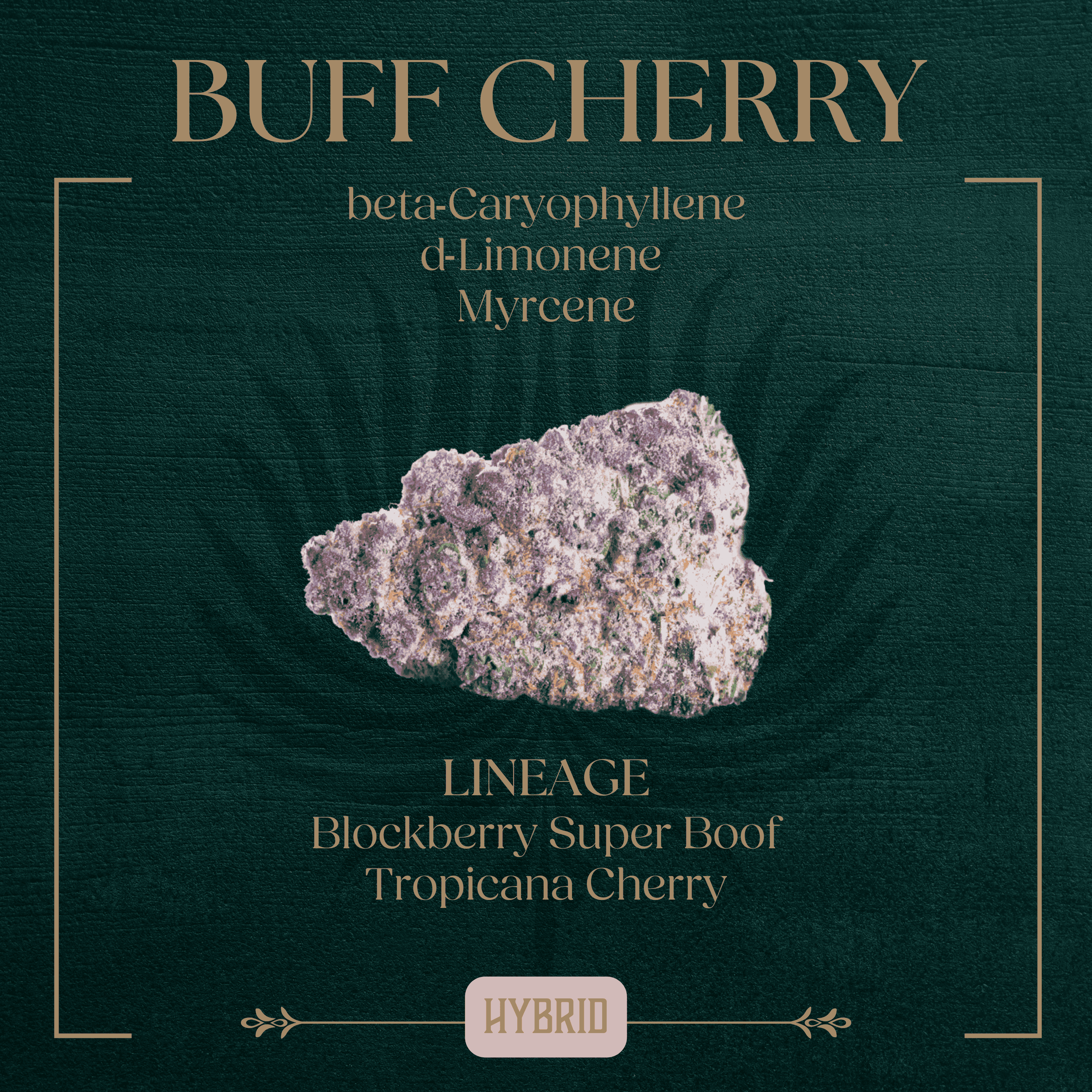 Peak Buff Cherry 3.5g