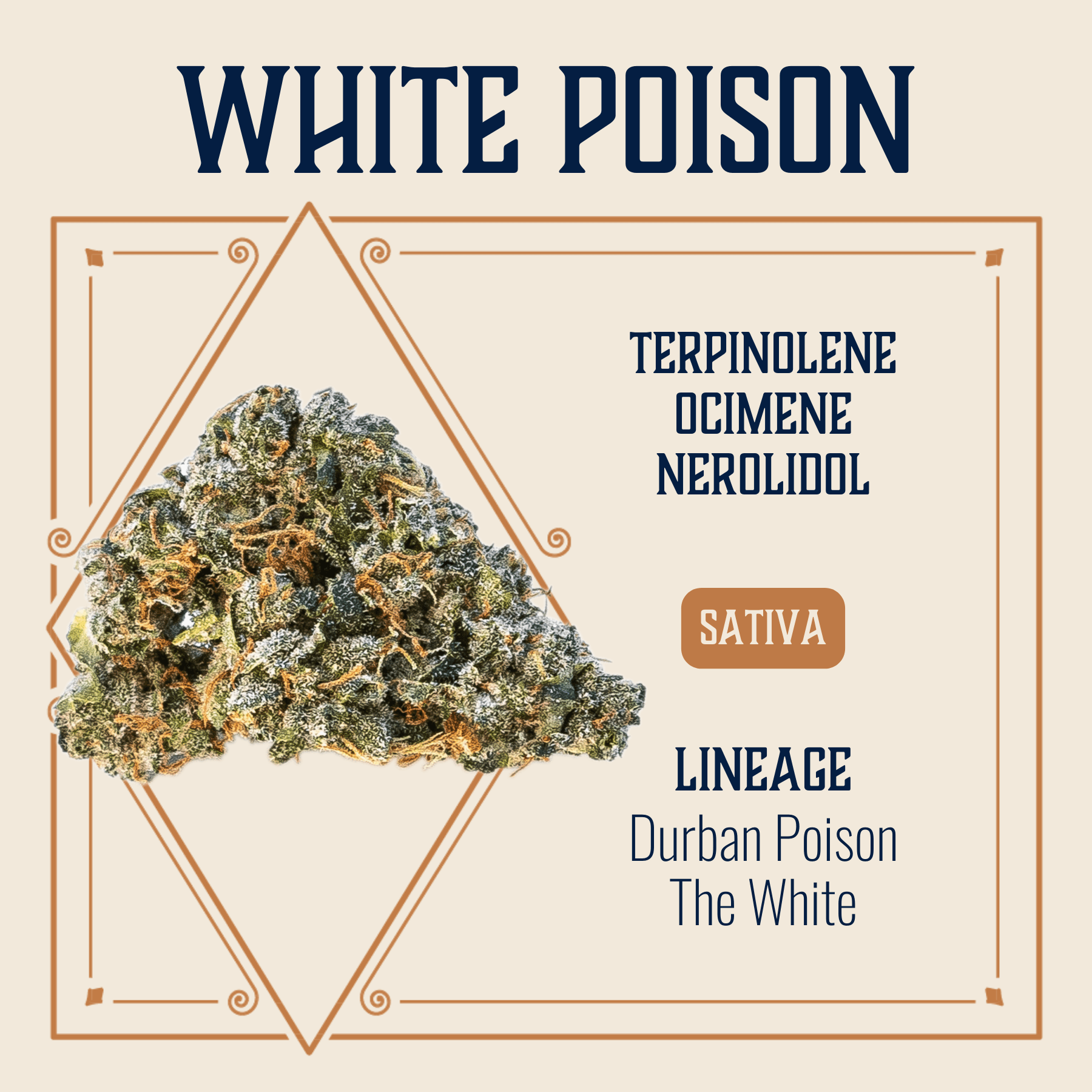 Elevate White Poison Flower | 3.5g