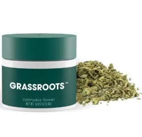Grassroots Golden Sands