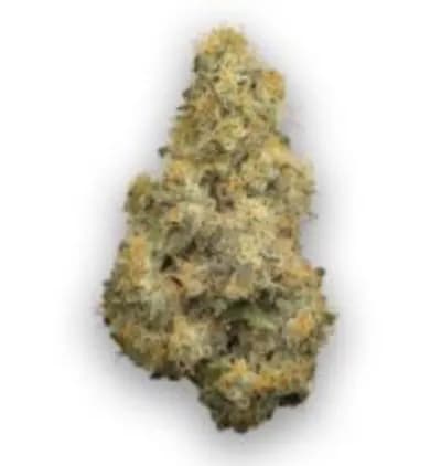 Coast Mountain Cannabis