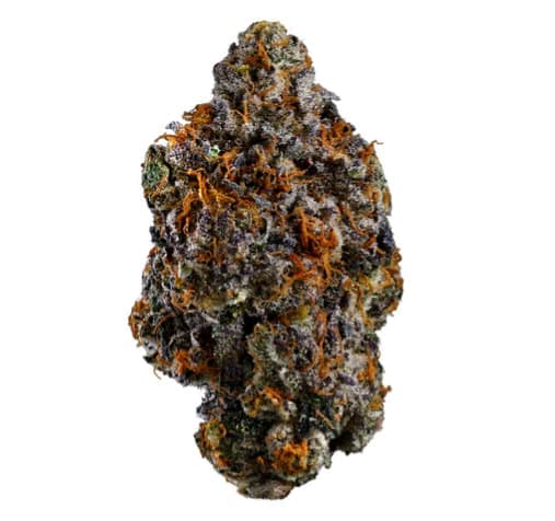 Coast Mountain Cannabis