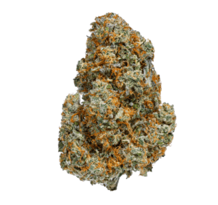 Coast Mountain Cannabis