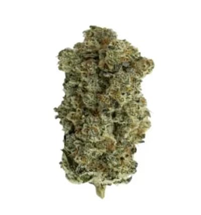 ALL NATIONS BLACKBERRY PIE