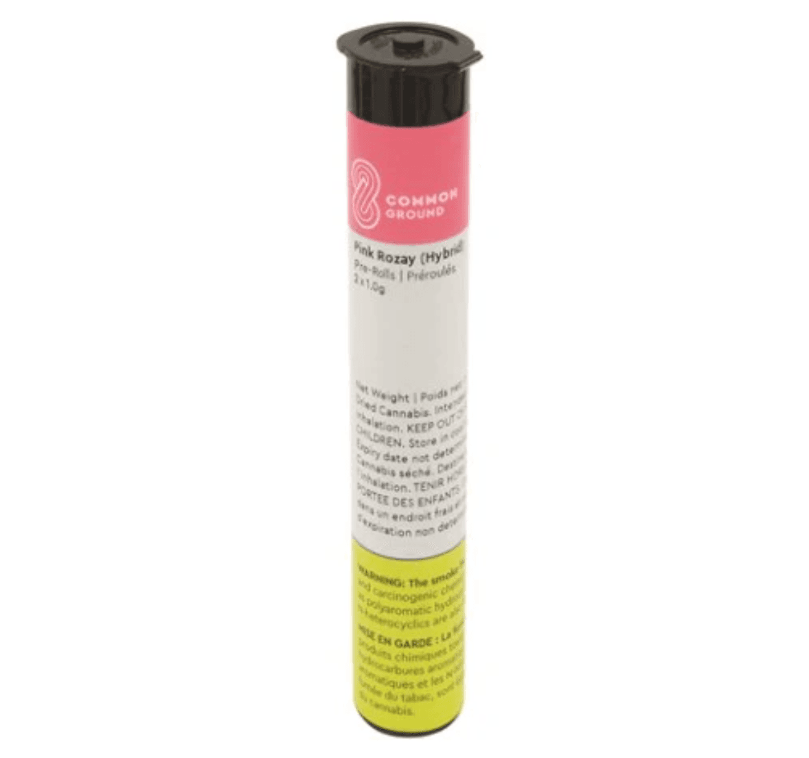 Common Ground Pink Rozay 2-Pack