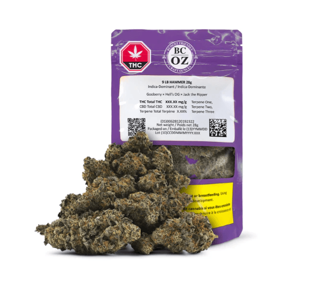 BC OZ 9LB Hammer