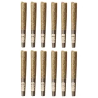 BOLD Orange Crush 0.5 - 12pk