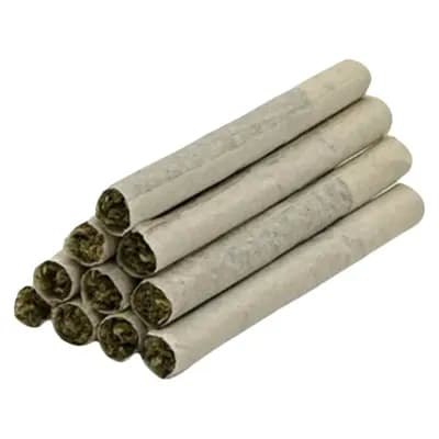 TRYGG Biscotti Pre-Rolls by Trygg - Biscotti Pre-Rolls - 10x0.5g