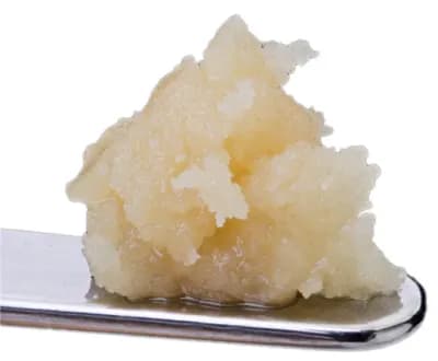 Sauce Rosin Labs