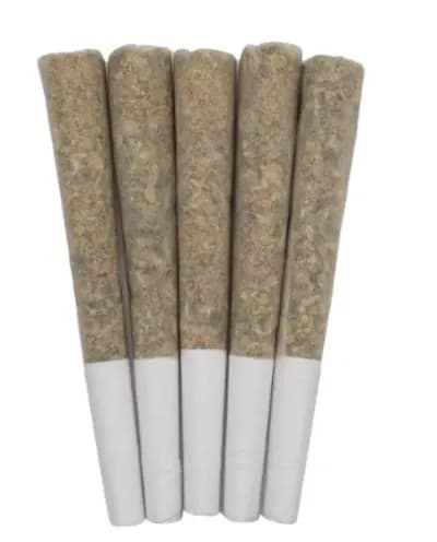 West Coast Gas
