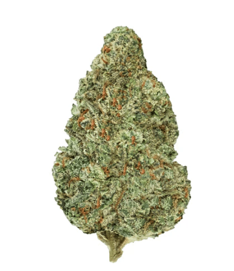 Back Forty Chemzilla Flower - Indica