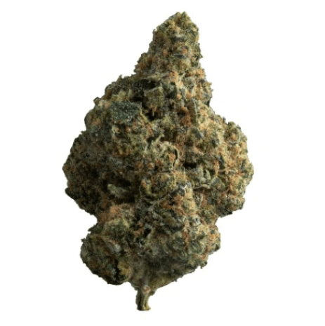 The Loud Plug The Loud Plug : Exotic Gas