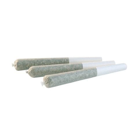 Dab Bods Dab Bods : Blue Lobster 60's+DBL Infused Pre-Rolls (3x0.5g)