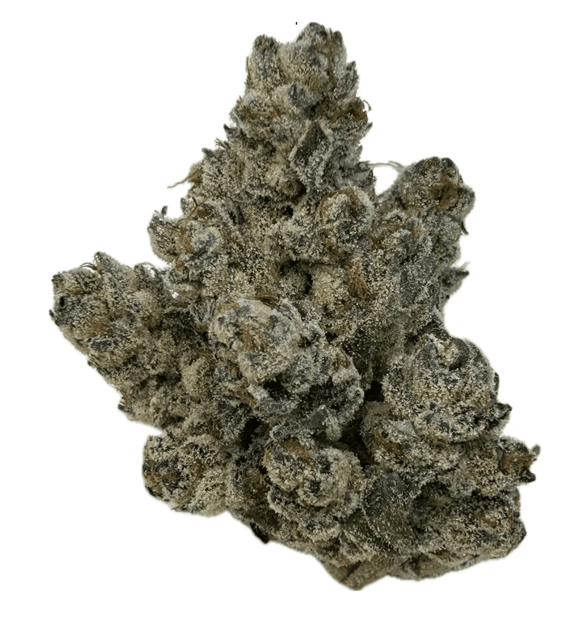 Rocky Mountain Cannabis Cappy Gilmore Smalls
