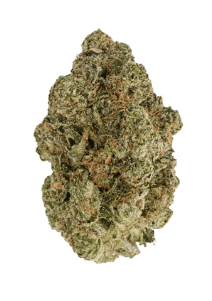 Back Forty Fire Breath Flower - Indica
