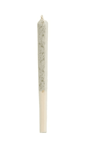 Simply Bare BC Organic Fruit Loopz Pre-Rolls - Sativa - 1x0.5g