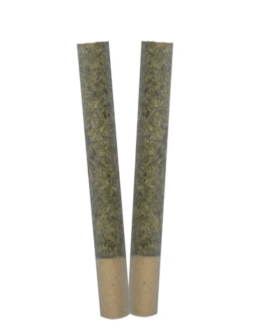 TRYGG Ignite Pre-Rolls - Sativa - 2x1g