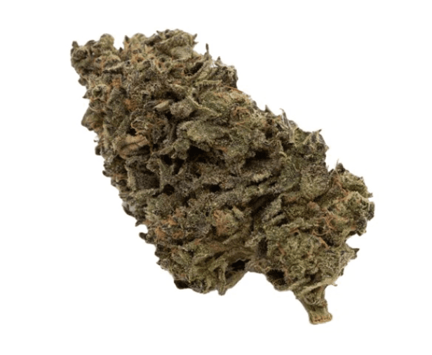 FIGR FIGR : Jungle Fumes