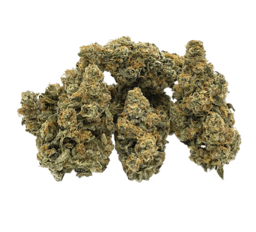 Trailblazer Trailblazer Rootbeer #8 Flower - Sativa