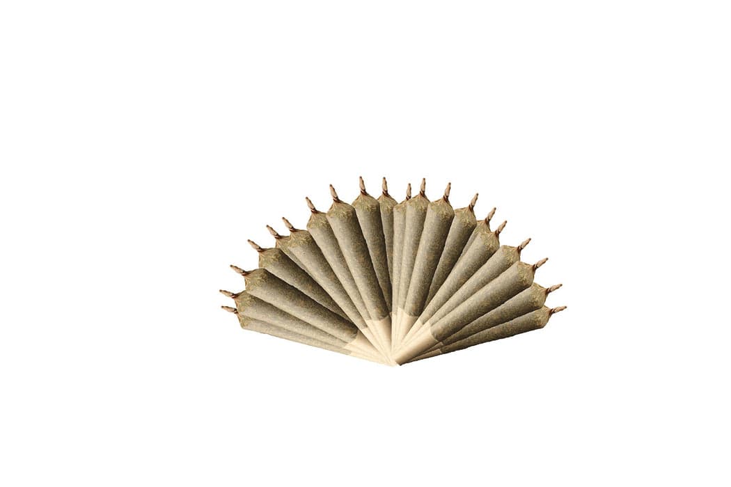Weed Me Grind Sativa 420 Plus Pre-Rolls - Sativa - 20x0.4g