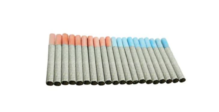 TRYGG TRYGG : Block Party Pre-Rolls (Rotational Strains) (20x0.5g)