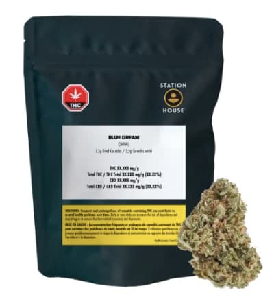 Station House Blue Dream by Station House - Blue Dream