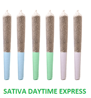 Station House : Sativa Daytime Express Pre-Roll - 12 x
