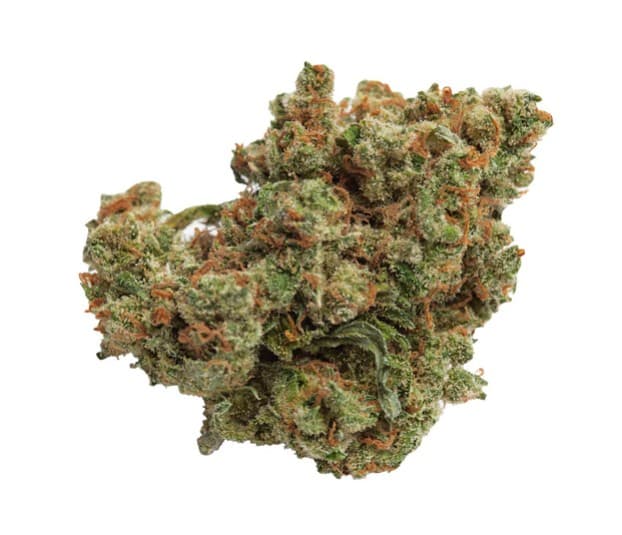 Qwest Lazer Jet Craft Flower - Hybrid