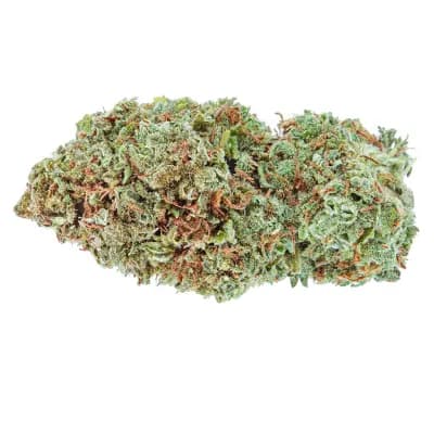 Highly Dutch Organic Amsterdam Sativa Organic Cherry Mints