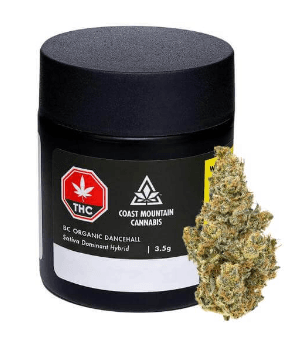 Coast Mountain Cannabis