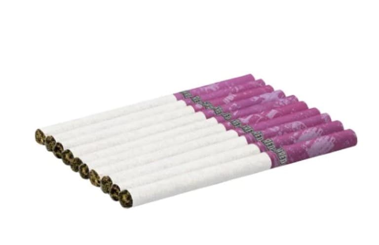 SHRED Shred : Gnarberry Dartz Pre-Rolls (10x0.4g)