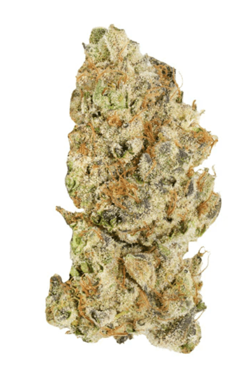 Broken Coast