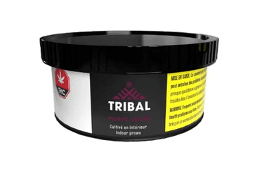 Tribal