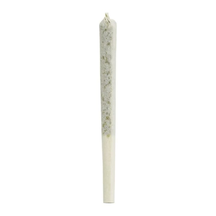 1964 Supply Co. 1964: COMATOSE PRE-ROLLS (1 x