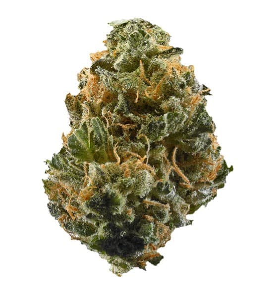 Ripped Ripped Hybrid Dried Flower (Rotating)