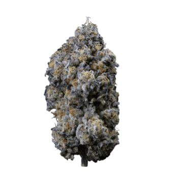 Sweetgrass Organic Cannabis