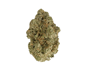 Back Forty Fire Breath Flower - Indica