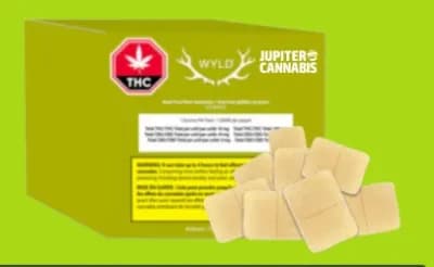 Wyld WYLD : Real Fruit Pear THC:CBG 1: ummies (10 pack)