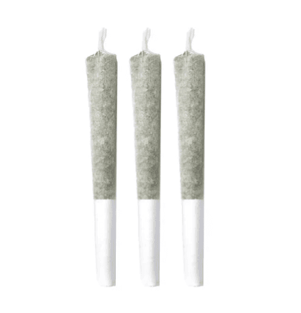 Pineapple Buds Pineapple Buds : Pineapple Soda Pre-Rolls (3x0.5g)