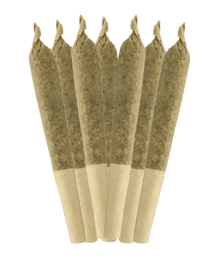 Sheeesh! Sheeesh! : Dubble Bubbs Pre-Rolls (7x0.5g)