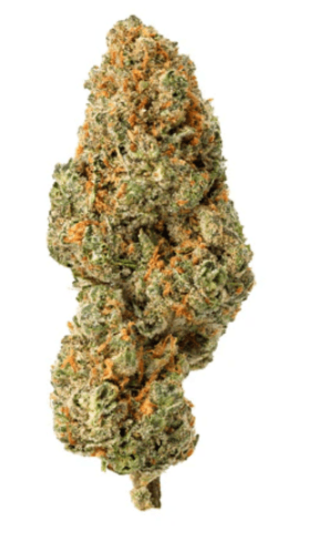 Homestead Cannabis Supply